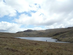 Dovedale, Blea Tarn, Dock Tarn 038
