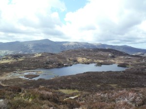 Dovedale, Blea Tarn, Dock Tarn 080