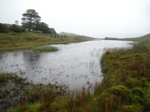 Kelly Hall Tarn and Long Moss Tarn (24)