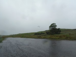 Kelly Hall Tarn and Long Moss Tarn (28)