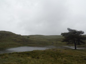 Kelly Hall Tarn and Long Moss Tarn (4)