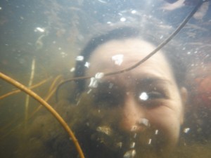 Kelly Hall Tarn and Long Moss Tarn (44)