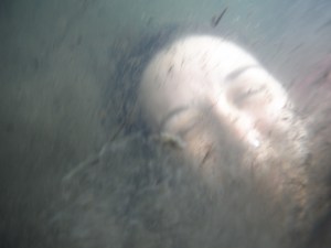 Kelly Hall Tarn and Long Moss Tarn (71)