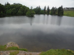 Out Dubs Tarn - Esthwaite Water 027
