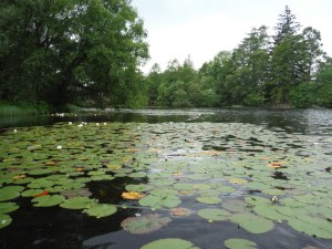 Out Dubs Tarn - Esthwaite Water 032