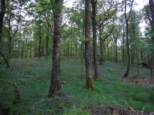 Slew Tarn and Blelham Tarn 001