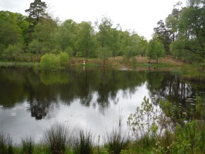 Slew Tarn and Blelham Tarn 007