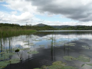 Slew Tarn and Blelham Tarn 030