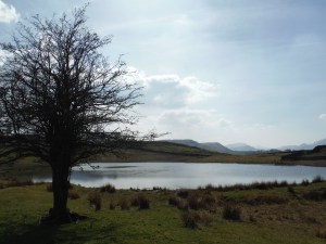 Tewet Tarn 004