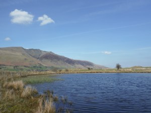Tewet Tarn 006