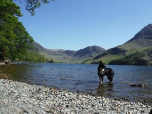 Watendlath Tarn & Buttermere 175