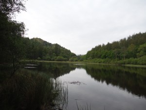 Yew Tree Tarn (15)