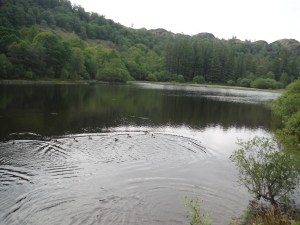 Yew Tree Tarn (2)