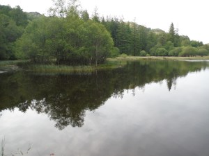 Yew Tree Tarn (21)