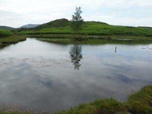 Lily Tarn & Loughrigg Tarn 034