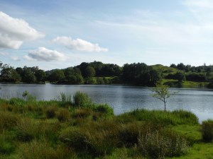 Lily Tarn & Loughrigg Tarn 080
