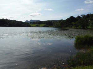 Lily Tarn & Loughrigg Tarn 106