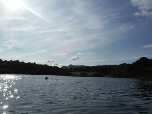 Lily Tarn & Loughrigg Tarn 122