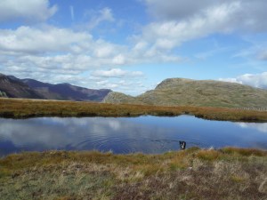 Launchy Tarn and Dale Head Tarn 015