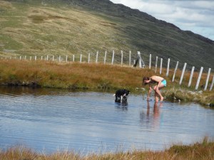 Launchy Tarn and Dale Head Tarn 028