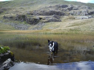 Launchy Tarn and Dale Head Tarn 055