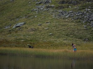 Launchy Tarn and Dale Head Tarn 063
