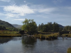 Little Langdale Tarn 025