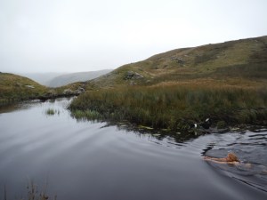 Wythburn Head Tarns & Harrop Tarn 067