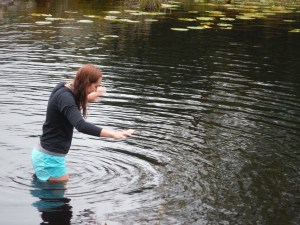 Wythburn Head Tarns & Harrop Tarn 116