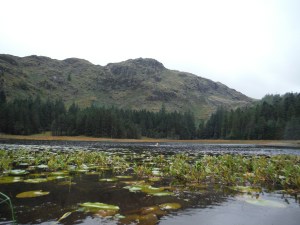 Wythburn Head Tarns & Harrop Tarn 126